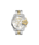 メンズ 腕時計 DZ4672 WATCH