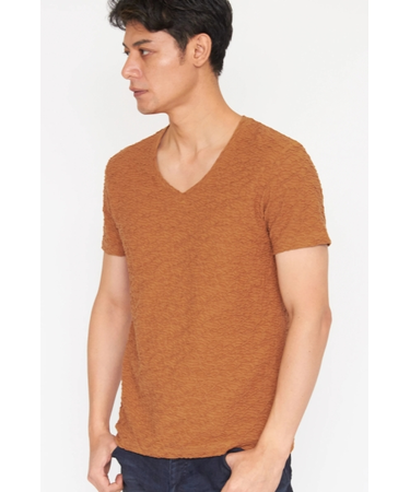 TORNADO MART∴ジャングルタックジャカードVネックTシャツ