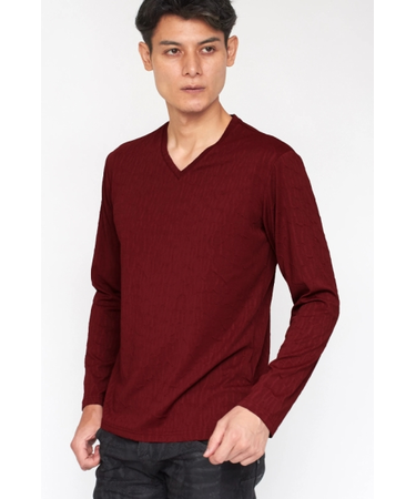 TORNADO MART∴レオパードふくれジャカードVネックカットソー