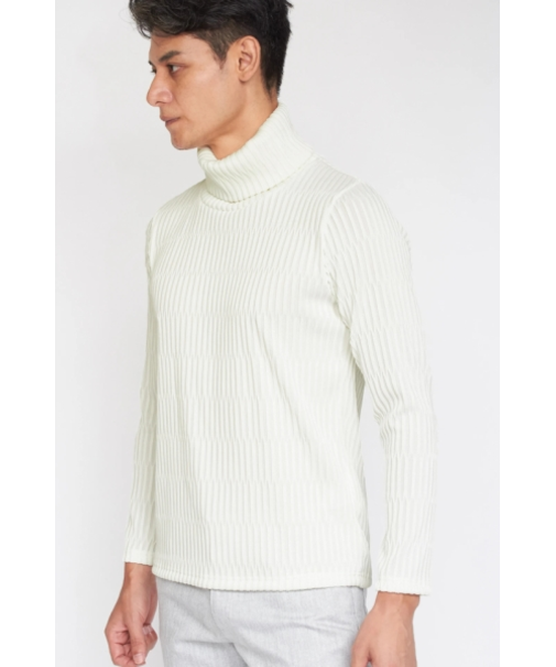 TORNADO MART∴タックストライプジャガードタートルネック