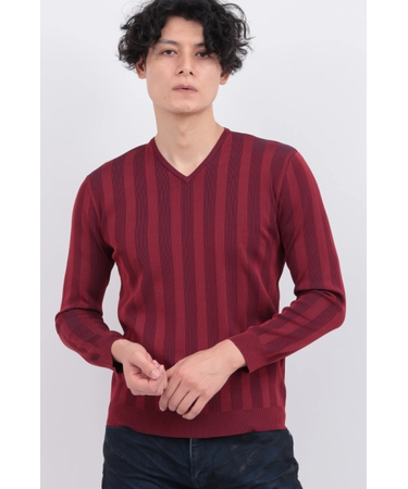 ｽﾄﾗｲﾌﾟﾃﾚｺVﾈｯｸKN