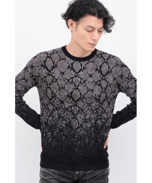 TORNADO MART∴パイソングラデーションモールクルーネックKN