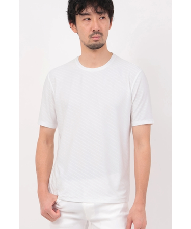 HIGH STREET∴バイヤスタック半袖クルーネックカットソー
