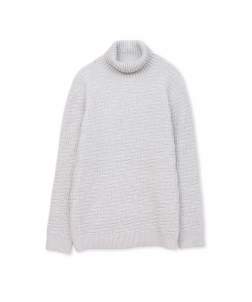 HIGH STREET∴バイアスリンクスモールタートルネックKN