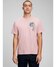 PINK STANDARD