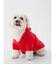 GAPロゴ ペット用パーカー 犬服（DOG WEAR）