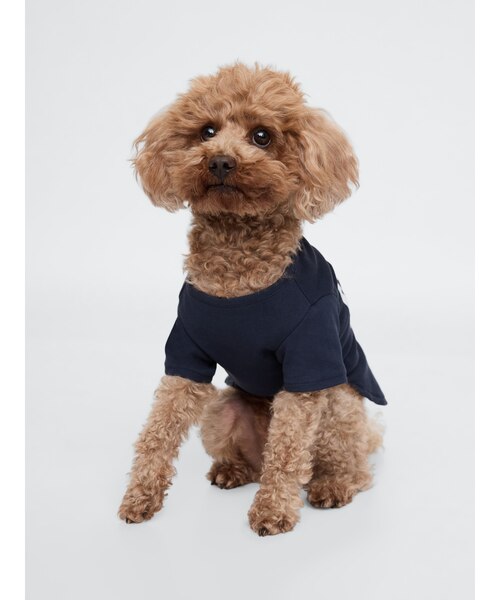 GAPロゴ ペット用Tシャツ 犬服（DOG WEAR）｜ギャップの通販｜&mall