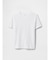 ポケットTシャツ (キッズ)