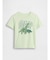 babyGap グラフィックTシャツ