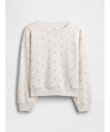 ヴィンテージソフト ウェッジ クルーネック スウェットシャツ (キッズ)