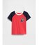 babyGap カラーブロック ブランナンベア グラフィックTシャツ