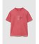 ヘビーウェイト トーンミックス GAPロゴTシャツ