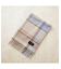 【WEB限定カラー有】【カシミヤブレンド/リバーシブル】チェックマフラー