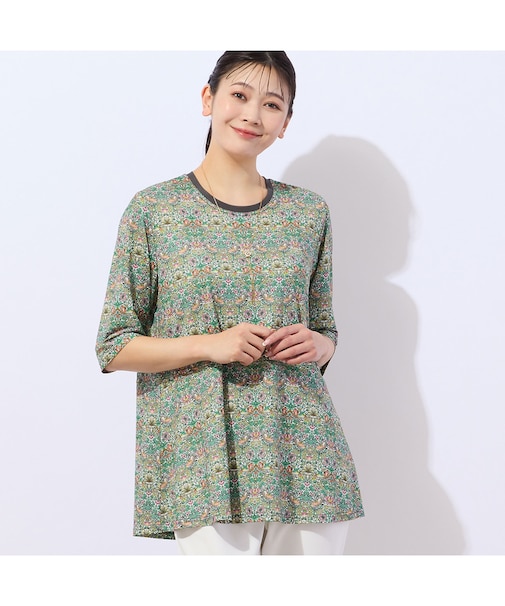 【洗える】V＆A いちご泥棒柄 ペプラムカットソー