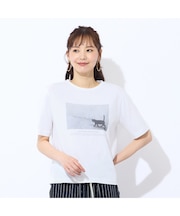 【洗える・吸水速乾】綿100％ネコプリントTシャツ
