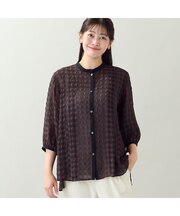 【洗える・L～4Lサイズ】シアーギンガムチェックブラウス