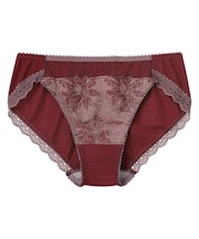 アンフィ　ノーマルショーツ