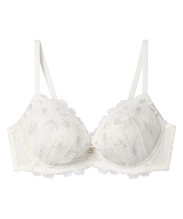 自然なまるみバストをメイク <BLH311>