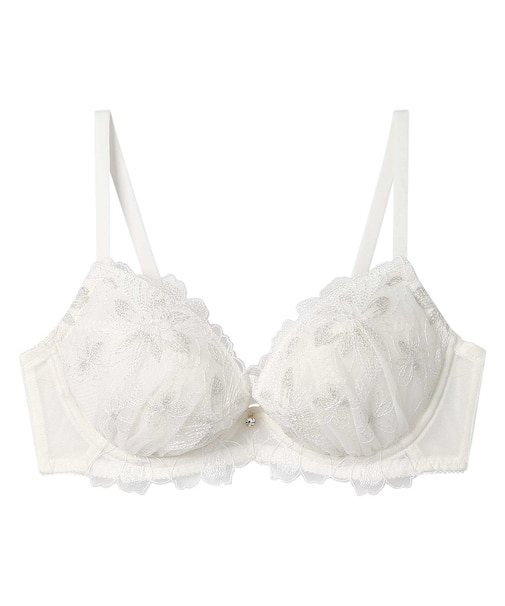 自然なまるみバストをメイク <BLH311>