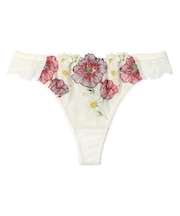 アンフィ　Tバックショーツ