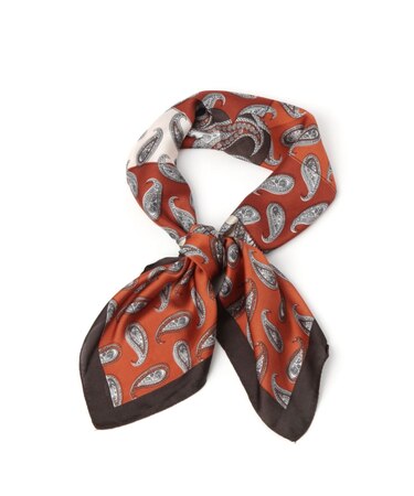 プリントスカーフ2/996081