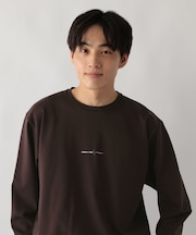 ﾘｯﾁｸﾘｰﾝSWT/ﾛｺﾞ