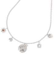 ステンレスチャームネックレス/611155