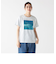 Ｔシャツ/Lake/岡崎直哉