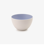 山中塗抗菌ボウル