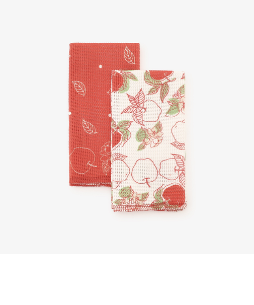 アップル抗菌ディッシュクロス