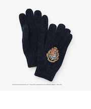 ユビデルグローブ/ハリー・ポッター