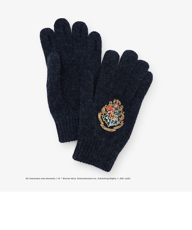 ユビデルグローブ/ハリー・ポッター