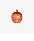 アップルLEDライト　