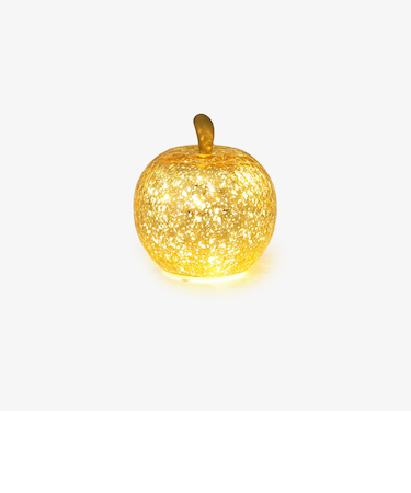 アップルLEDライト　