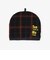 ティーコージー/Afternoon Tea Original Tartans