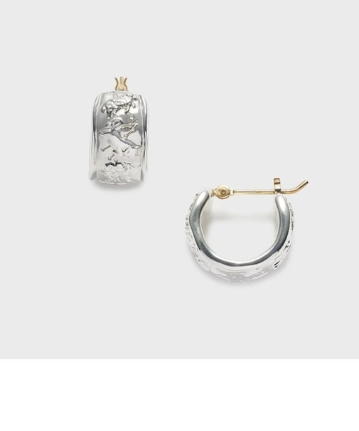 シルバーピアス