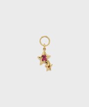 【25th Limited】ゴールドルビーチャーム