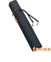 STB10 スティック ケース