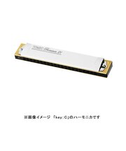 No.3521 プレミアム21 C♯調 21穴 複音ハーモニカ
