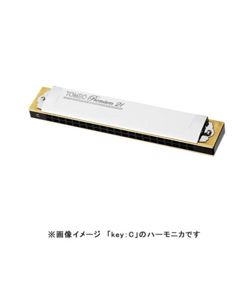 No.3521 プレミアム21 C♯調 21穴 複音ハーモニカ