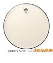 C16TD Clear Diplomat ドラムヘッド クリアー 【ディプロマット】 【16インチ】