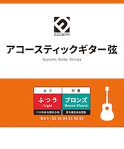 EAGS12 アコースティックギター弦/012-053