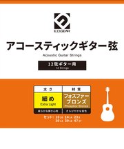 EAGS10P12 12弦アコースティックギター用セット弦 010-047 ライトゲージ