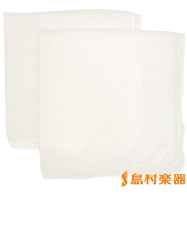 PGS2 ポリシングガーゼ