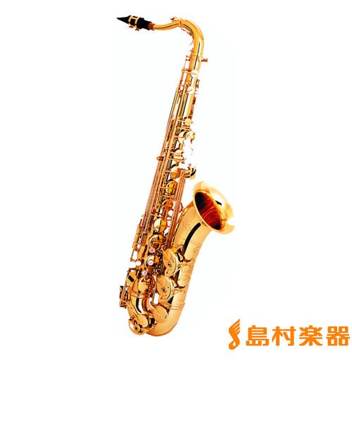 T2000GL テナーサックス｜シマムラガッキの通販｜&mall（アンドモール