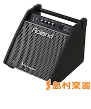Personal Monitor PM-100 パワードモニターアンプ [ V-Drums / 電子パーカッション ]専用
