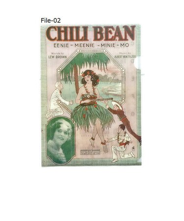 File-02 ウクレレコード付クリアファイル CHILI BEAN