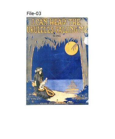 File-03 ウクレレコード付クリアファイル UKULELES CALLING ME