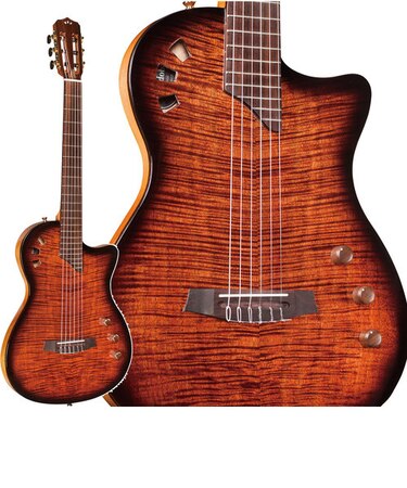 STAGE GUITAR エレガットギター エレクトリックナイロンギター 