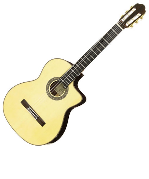 A-85CWE エレガットギター 650mm 松単板／ローズウッド